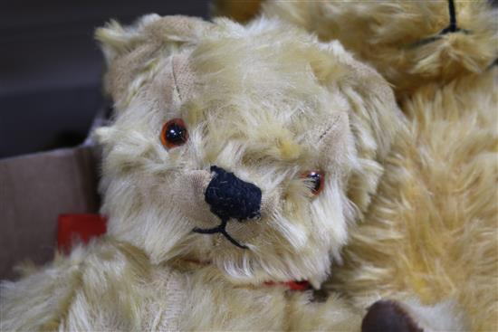 Two Chad Valley bears, Merrythought, two bears 1930-50s, tallest 14in.